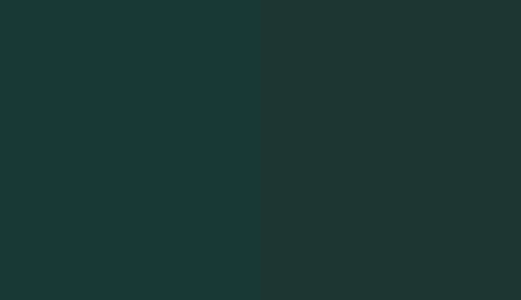 HEX #183935 to PANTONE 5467 C
