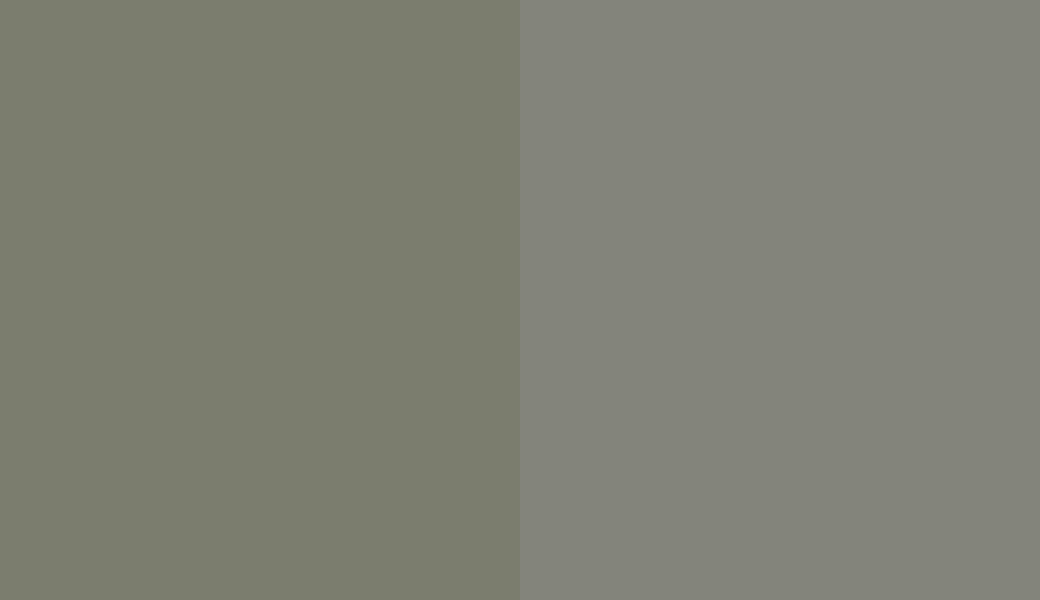 HEX #7B7D6E to PANTONE 416 C