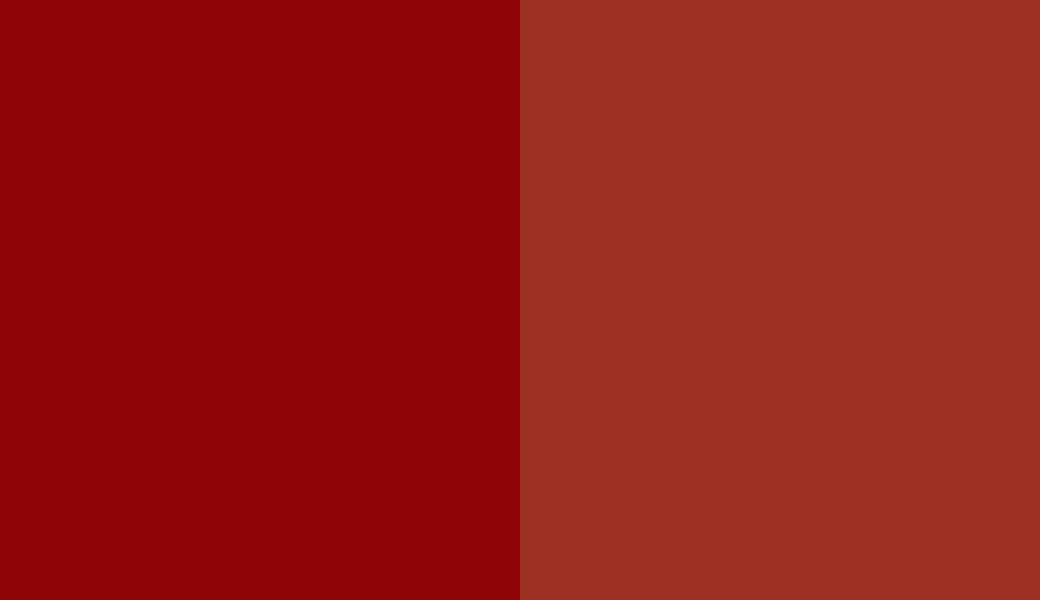 HEX #8F0507 to PANTONE 484 C