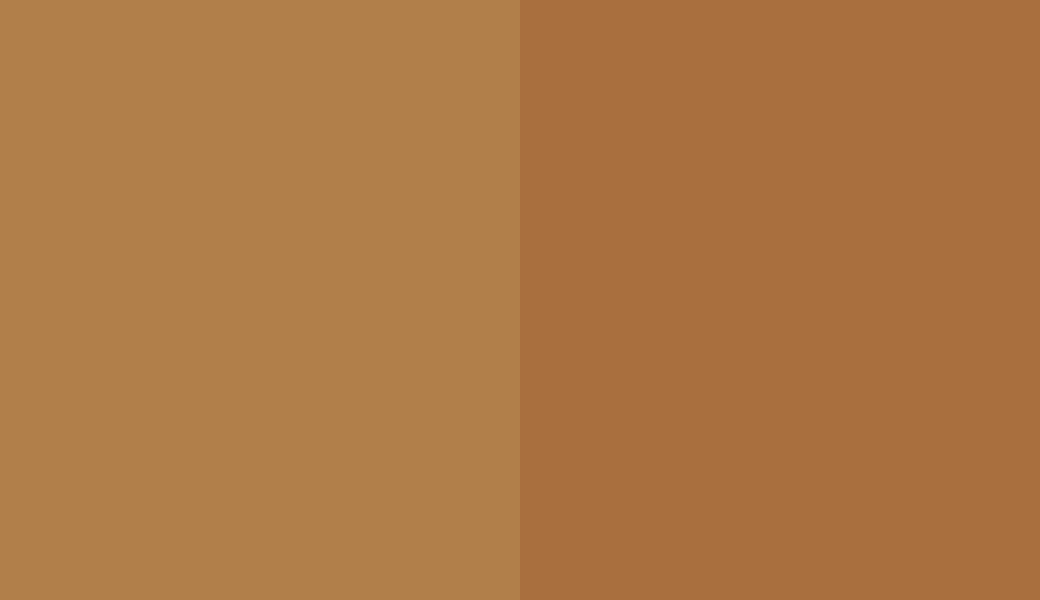 HEX #B17F4A to PANTONE 730 C