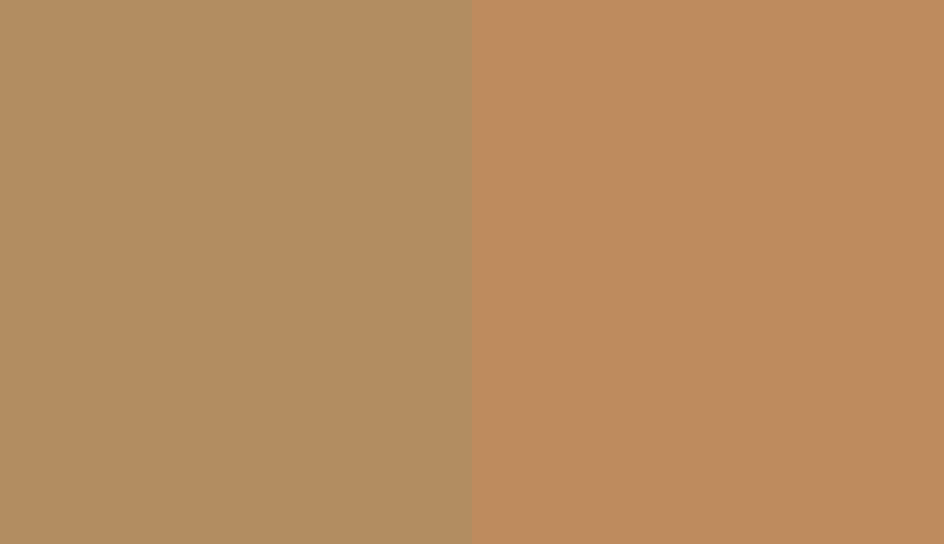 HEX #B28D61 to PANTONE 729 C