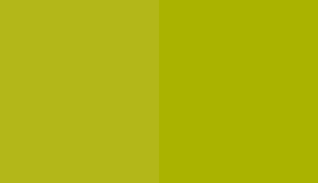 HEX #B3B719 to PANTONE 583 C HEX #B3B719 to PANTONE 583 C
