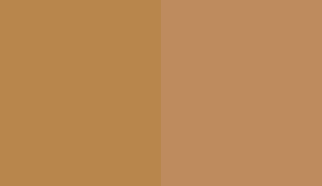 HEX #B8864C to PANTONE 729 C