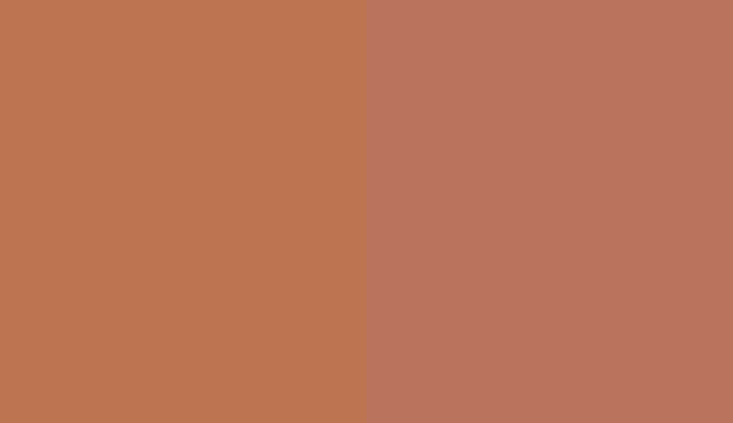 HEX #BC7550 to PANTONE 7522 C