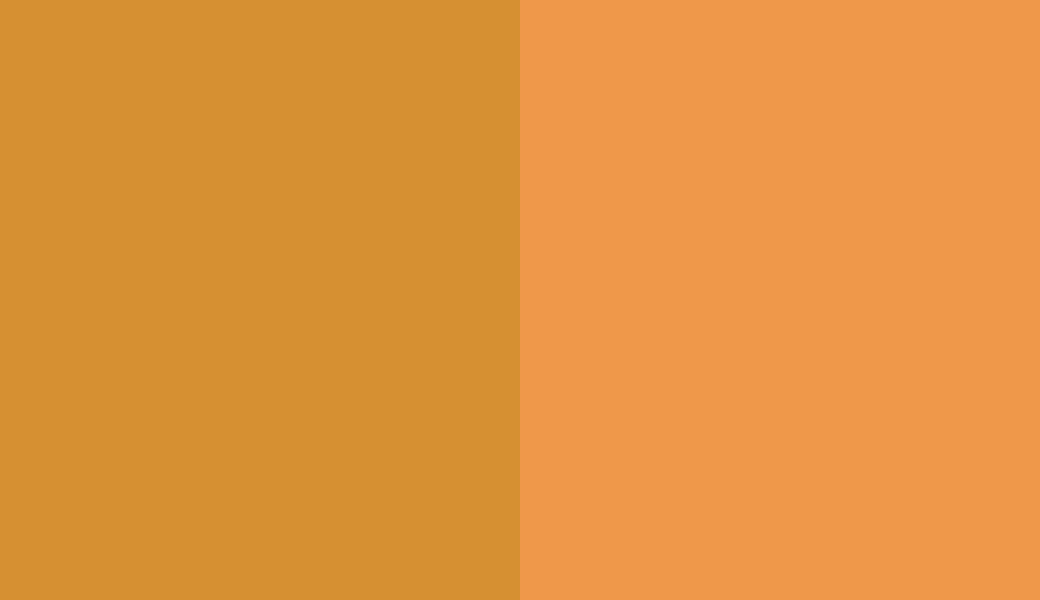 HEX #D69032 to PANTONE 157 C HEX #D69032 to PANTONE 157 C